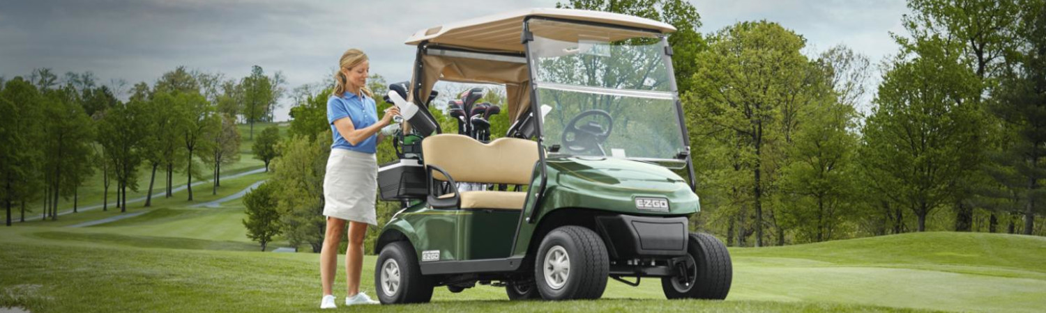 2021 E-Z-GO for sale in Pure North Golf Cars, Petoskey, Michigan